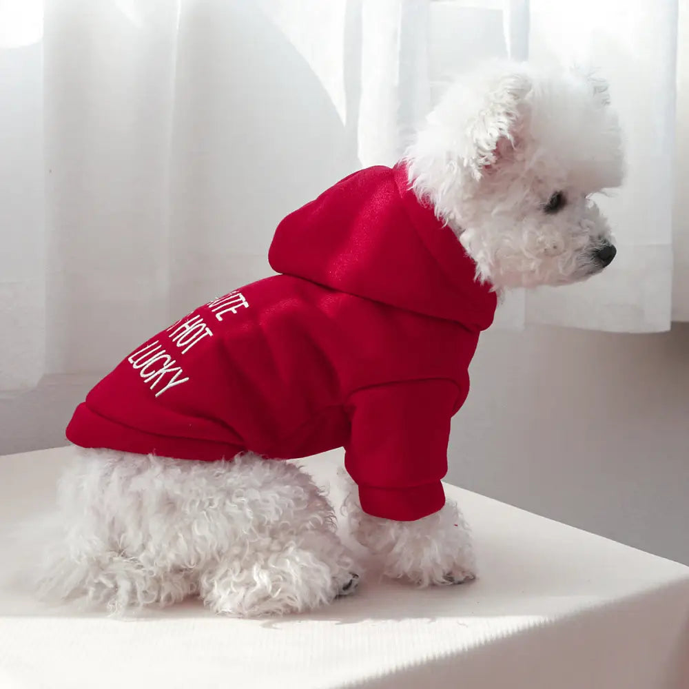 ID383 犬服 ドッグウェア パーカー かわいい おしゃれ 犬用 夏服 飼い主とペア 春 夏 XS-XL サイズから選べる ペアルック レッド / XS ペット用品＞ウェア