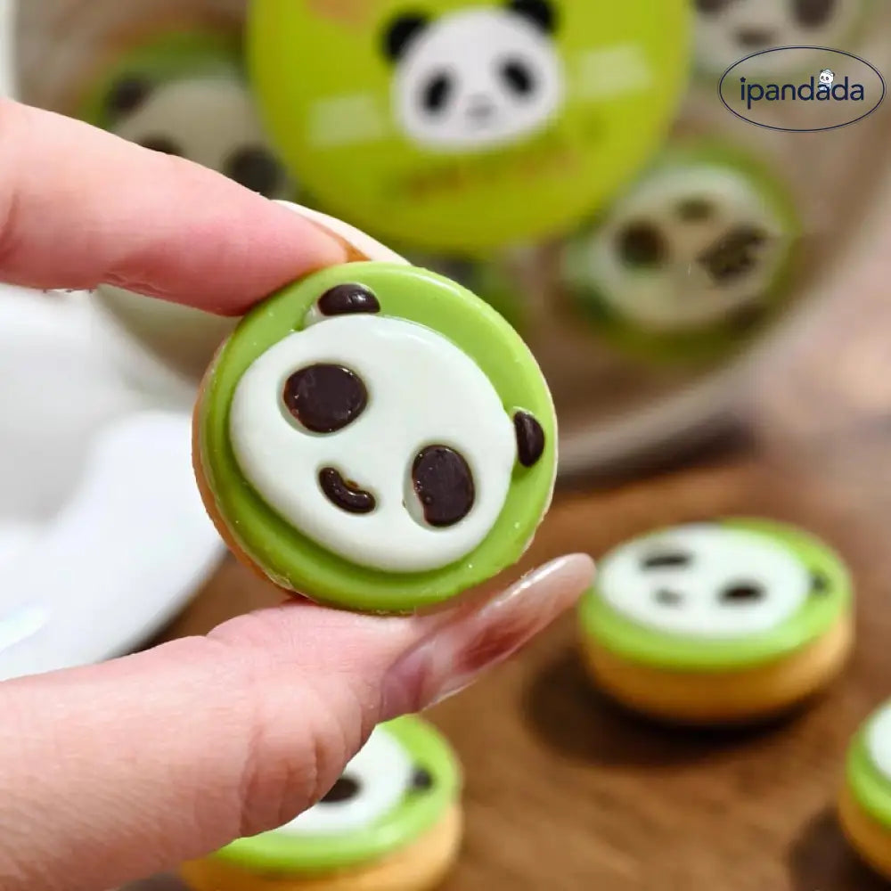 パンダ チョコ クッキー ビスケット お菓子 おやつ 子ども会 プレゼント 子供 景品 まき 人気 パーティー パンダ / 1箱/6個入り グッズ＞その他