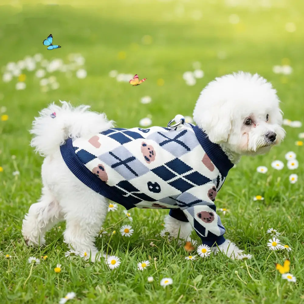 ペット ビションフリーゼ犬 ボストンテリア 小型犬服 秋冬 新作 カジュアル 快適 ラウンドネック 保温 パーカー ID3704