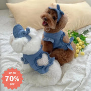 ID1002 ペット服 春夏用 xs-xlサイズ 猫 犬用 2点セット デニム Tシャツ ベスト + 帽子 セット インスタ映え かわいい コーディネート おしゃれ 通気性 軽量 デニム2点セット / XS ペット用品＞ウェア