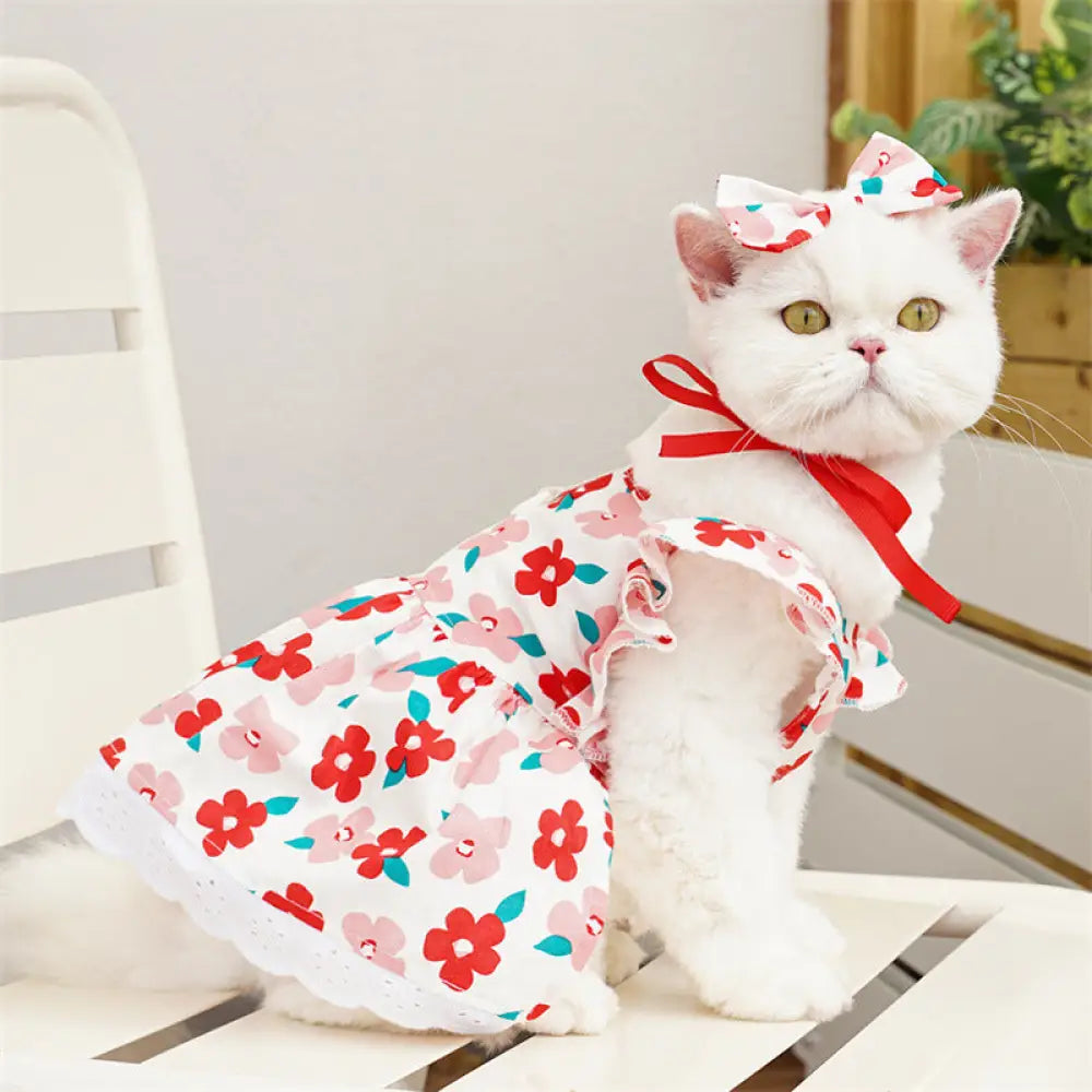 ペット服 猫 ワンピース 夏用 テディ ベア ビション コーギー 小型犬 猫ちゃん 犬服 アイテム ドッグ キャット ウエアID1875 タイプ① / S ペット用品>ウェア