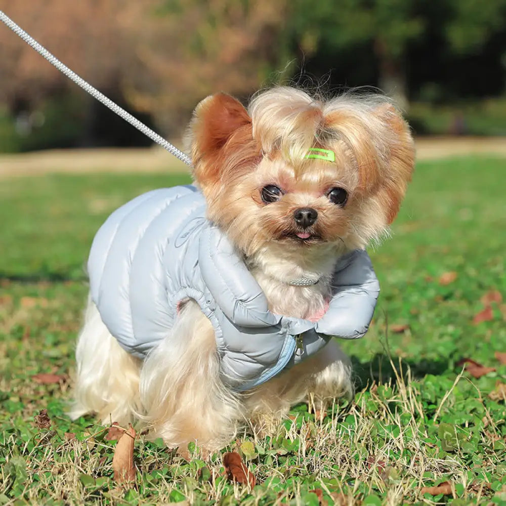 ペット服 犬服 二足 ダウンジャケット 冬 保温 綿入り 小型犬 ベスト ベスト ID2512
