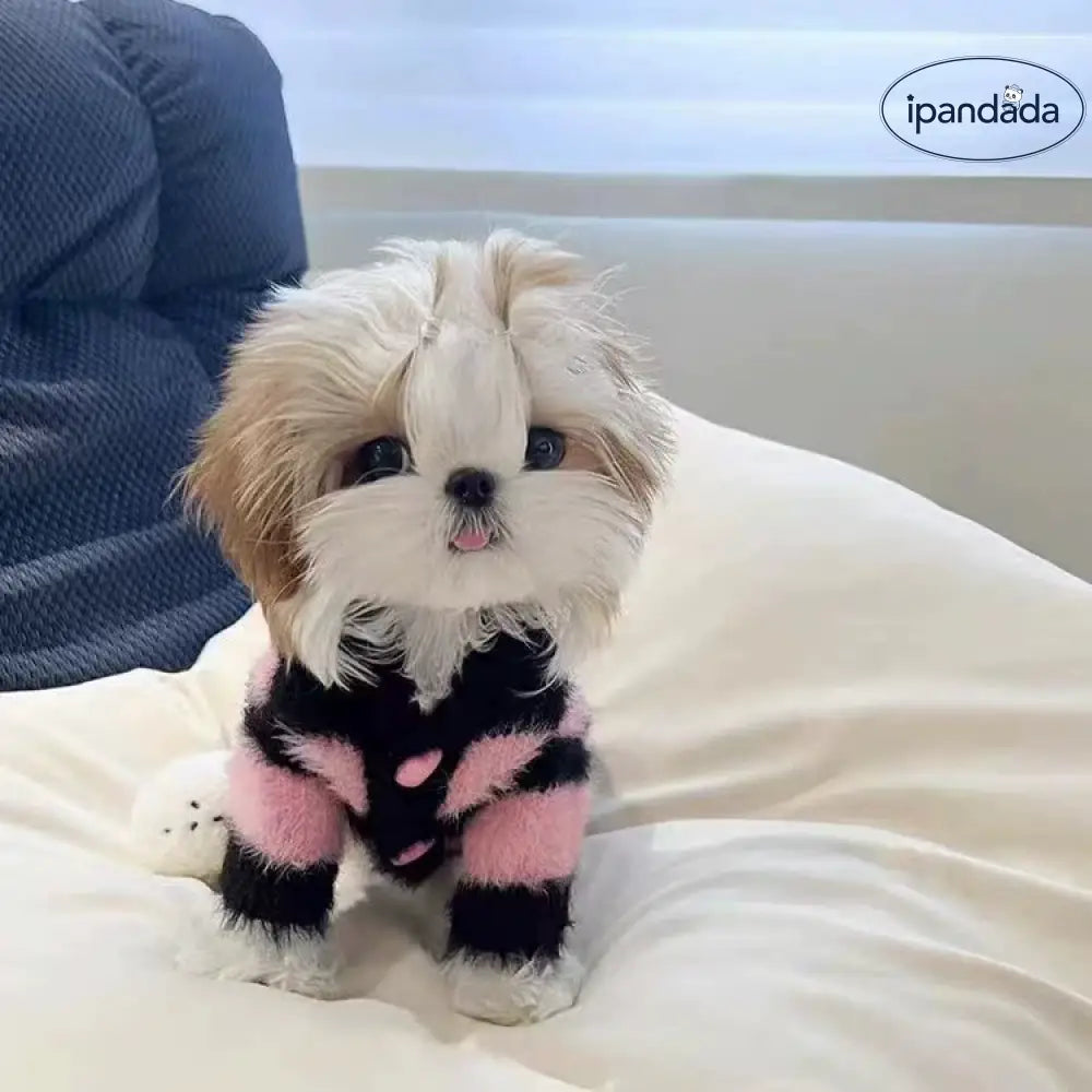 ペット服 ブラック＆ピンク ストライプ セーター マルチーズ シーズー ビション テディ 小型犬用 中型犬用 ID3805