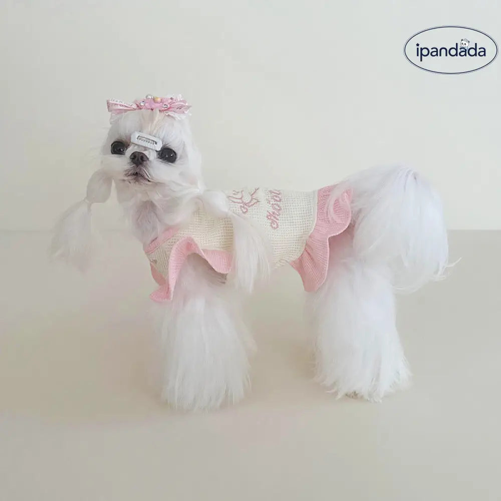 ID1361 ペット服 犬猫兼用 ワッフル編み 刺繍 カラーブロック マカロンカラー ドレス＆プルオーバー ペア用 薄手軽量 通気性抜群 洗える おしゃれ かわいい