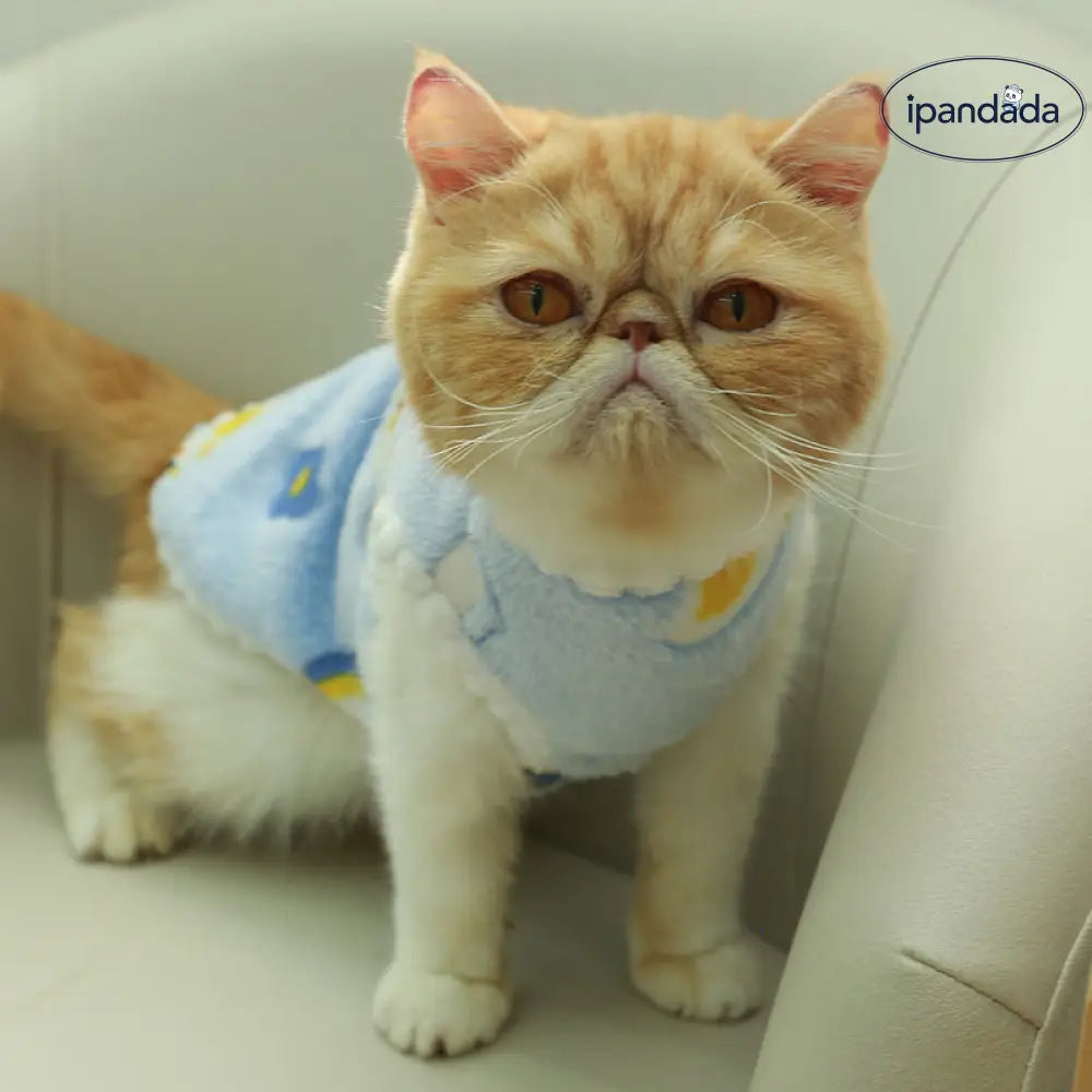 ペット服 犬 猫 秋冬 加フリース 厚手 かわいい テディ ベア ビション ルームウェア 小さな ベスト ID2715