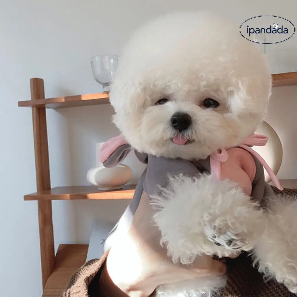 ペット服 犬服 パーカー コスプレ スウェット ペットウェア ドッグウェア 防寒 あったか サイズある おしゃれ かわいい ペット用品＞ウェア