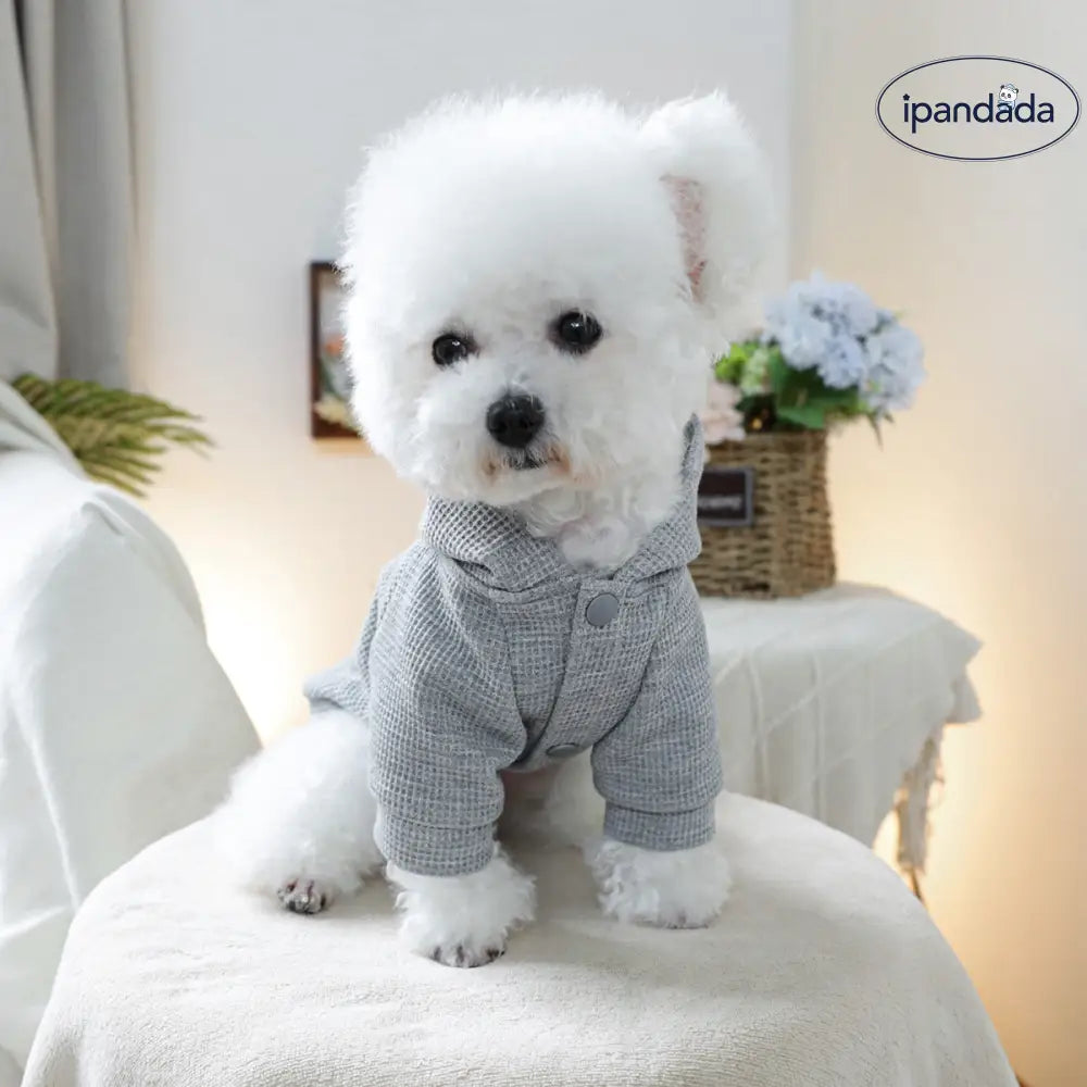 ペット服 犬洋服 犬用服 ペット 犬 服 犬用 かっこいい かわいい ドッグ キャット コスチューム 可愛い パーカ 犬 クリスマスプレゼント ID3524 ペット用品＞ウェア