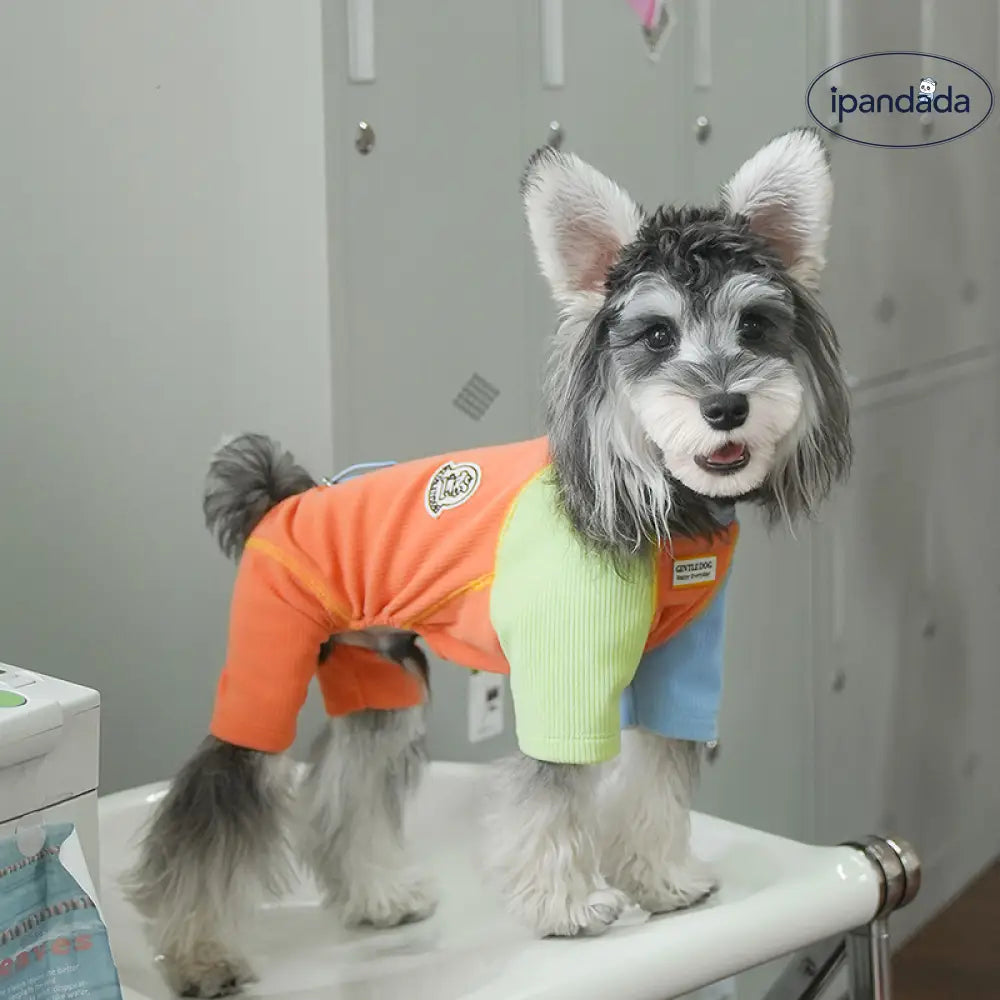 ペット服 秋冬 デロン 生地 色分け 4足型 保温 ベースシャツ ビション フリーゼ シュナウザー 子犬 服 インナー ID2477