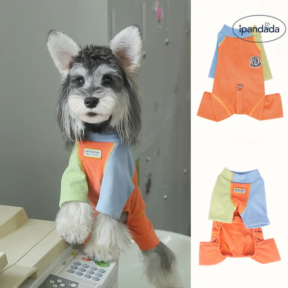 ペット服 秋冬 デロン 生地 色分け 4足型 保温 ベースシャツ ビション フリーゼ シュナウザー 子犬 服 インナー ID2477