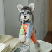 ペット服 秋冬 デロン 生地 色分け 4足型 保温 ベースシャツ ビション フリーゼ シュナウザー 子犬 服 インナー ID2477