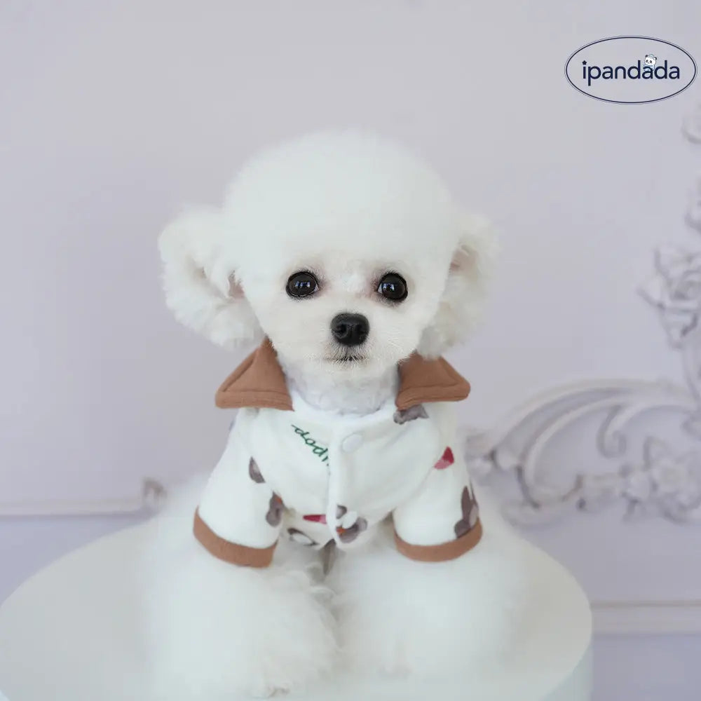 ペット服 犬用 秋冬 ハートベア コットン テディ ヨークシャー 可愛い 保温 二足タイプ コットンジャケット ID2785