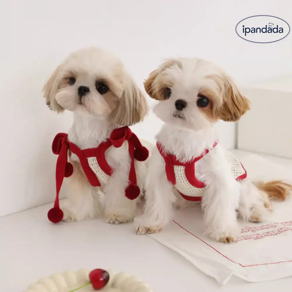 ID1001 ペット服 夏用 ノースリーブ マルチーズ リゾート風 レース ベスト 小型犬 おしゃれ インスタ映え かわいい 写真撮影 人気款 通気性 涼感 ペット用品＞ウェア