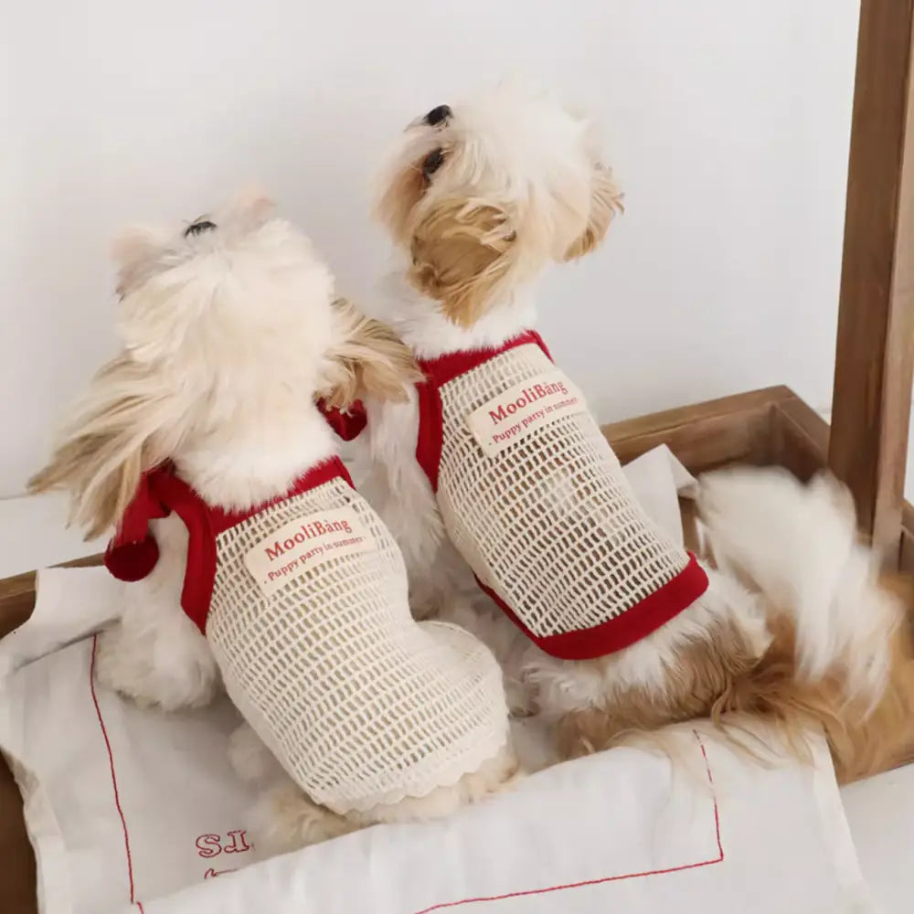 ID1001 ペット服 夏用 ノースリーブ マルチーズ リゾート風 レース ベスト 小型犬 おしゃれ インスタ映え かわいい 写真撮影 人気款 通気性 涼感 ペット用品＞ウェア