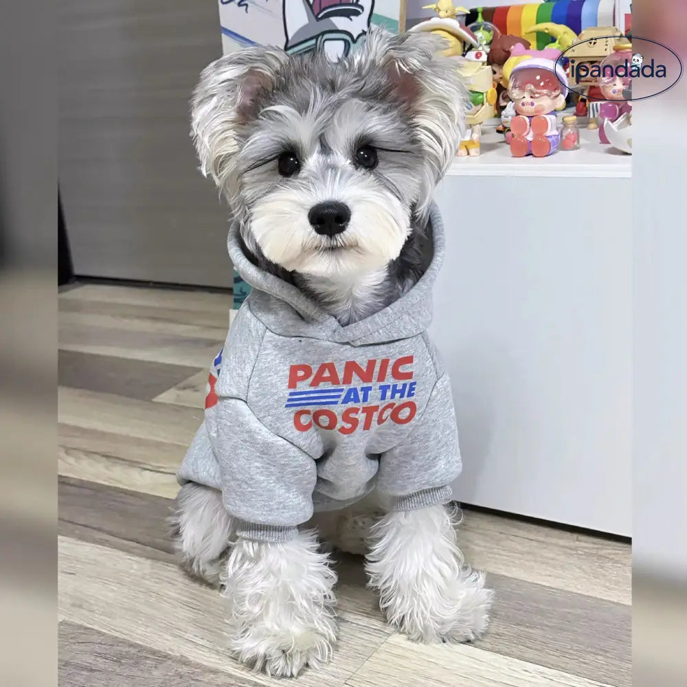 ペット フード付き スウェット シャイナリー ビション テディ 犬服 小型犬 中型犬 ペット衣服 ID2507