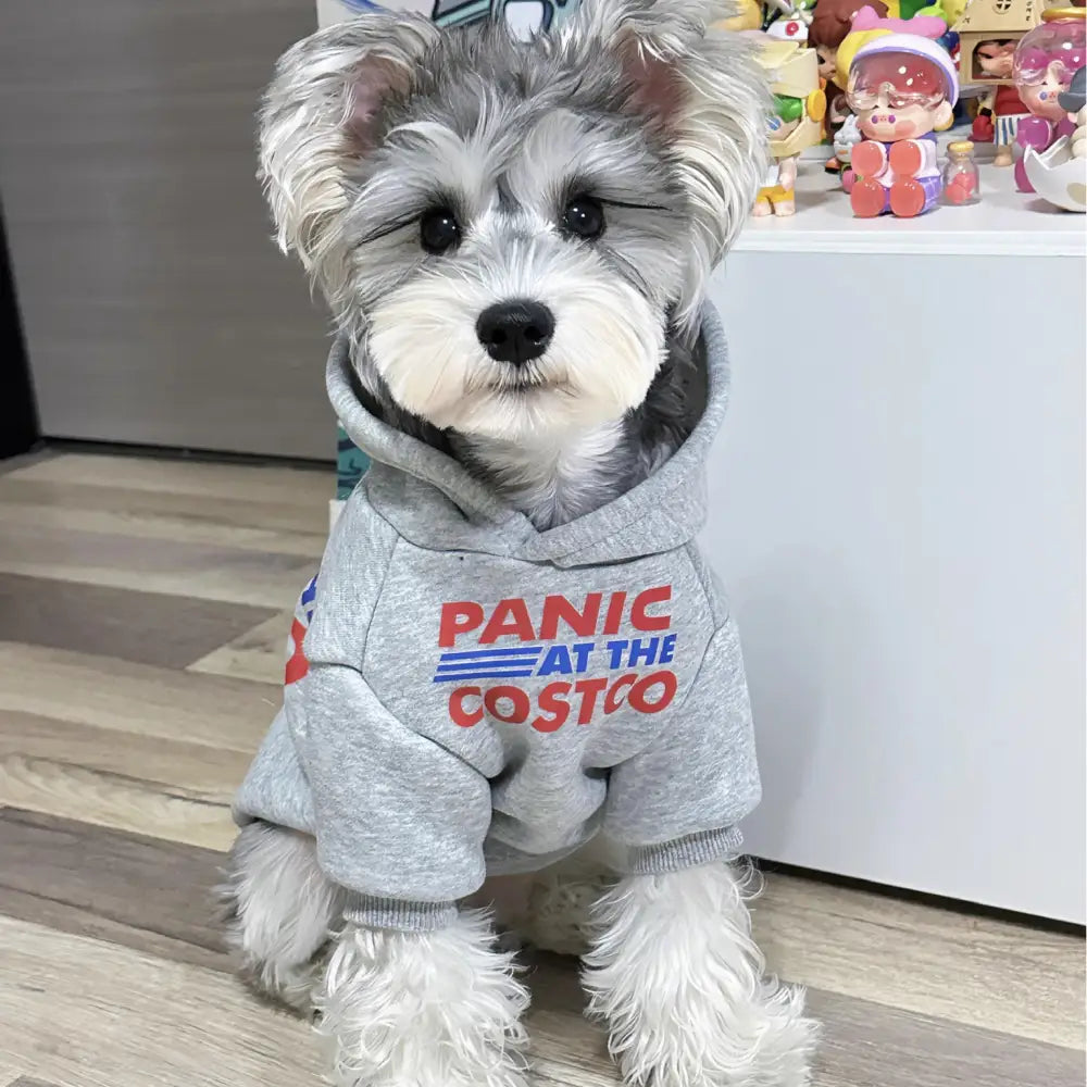 ペット フード付き スウェット シャイナリー ビション テディ 犬服 小型犬 中型犬 ペット衣服 ID2507