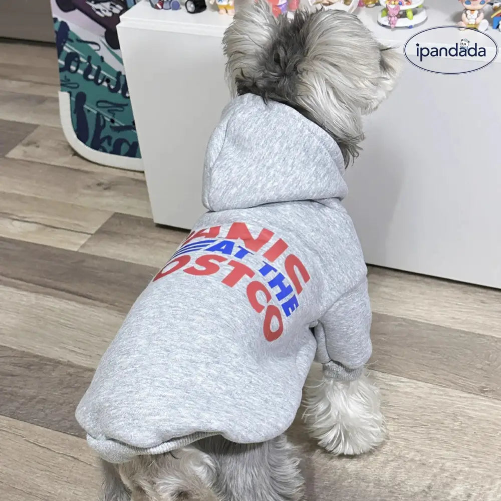 ペット フード付き スウェット シャイナリー ビション テディ 犬服 小型犬 中型犬 ペット衣服 ID2507