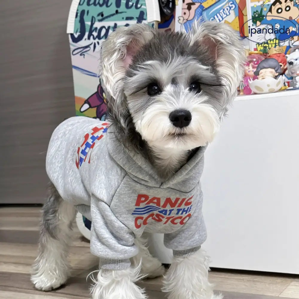 ペット フード付き スウェット シャイナリー ビション テディ 犬服 小型犬 中型犬 ペット衣服 ID2507