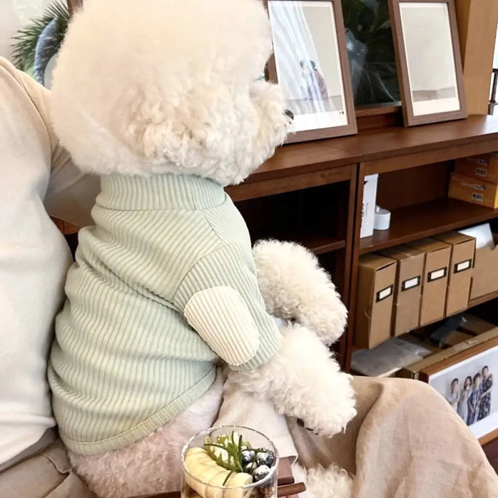 ペット インナーシャツ 犬用服 秋用 テディ ビションフリーゼ ヨークシャーテリア ポメラニアン 小猫用 猫 秋冬シーズン ID2402 グリーン / XS ペット用品＞ウェア