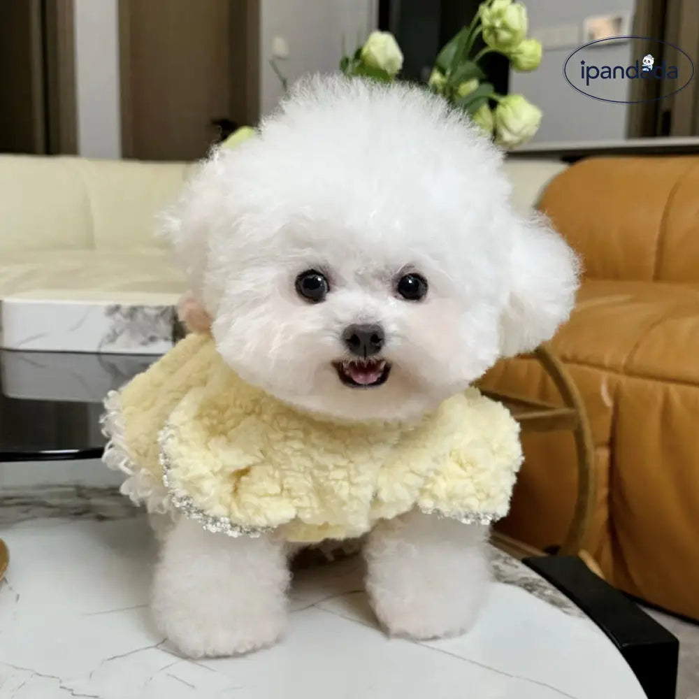 ペット コットンドレス テディ ベア ビション プードル ヨークシャー マルチーズ 小型犬 猫用 犬服 秋冬用 ID2787