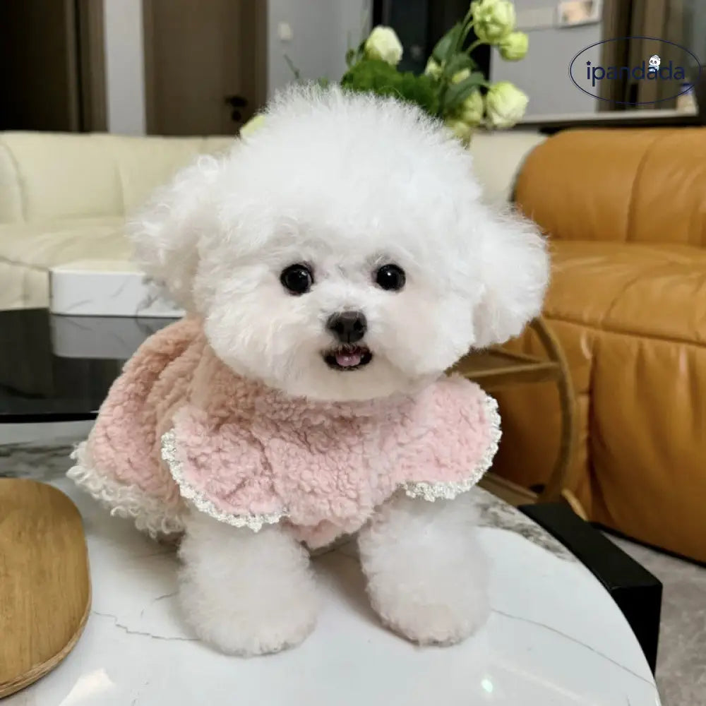 ペット コットンドレス テディ ベア ビション プードル ヨークシャー マルチーズ 小型犬 猫用 犬服 秋冬用 ID2787