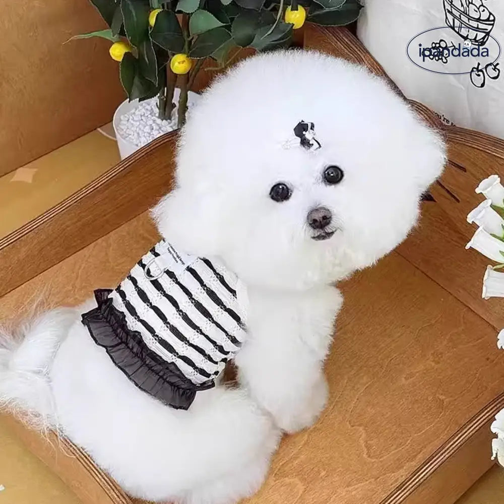 ID725 ペット キャミソールレース 拼接 透かし デザイン リード 対応 夏 薄手 犬 猫 服 テディ ヨークシャー ビション 小型犬 紫外線 対策 ワンピース ペット用品＞ウェア