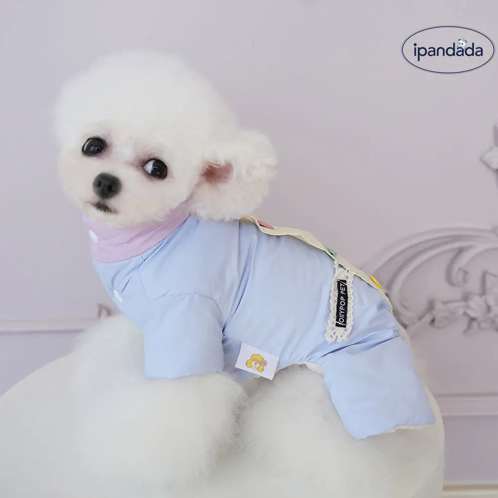 ペット 猫 犬 秋冬 服 ビション ヨークシャー ファッション ハートボタン カラフル コットン スーツ 防水 リード対応 ID3193