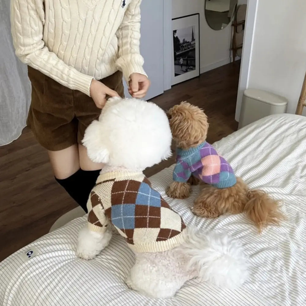 ペット ニット セーター テディ ビション フォックステリア ヨークシャー 小型犬 猫用 ドッグウェア 秋冬 ID2819