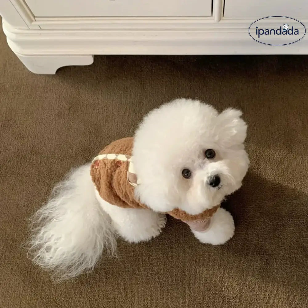 ペット 秋冬 服 タイディ ビション ヨークシャー 小型犬 ポメラニアン 猫用 犬用 服 秋 保温 マスコット ベスト ID3288