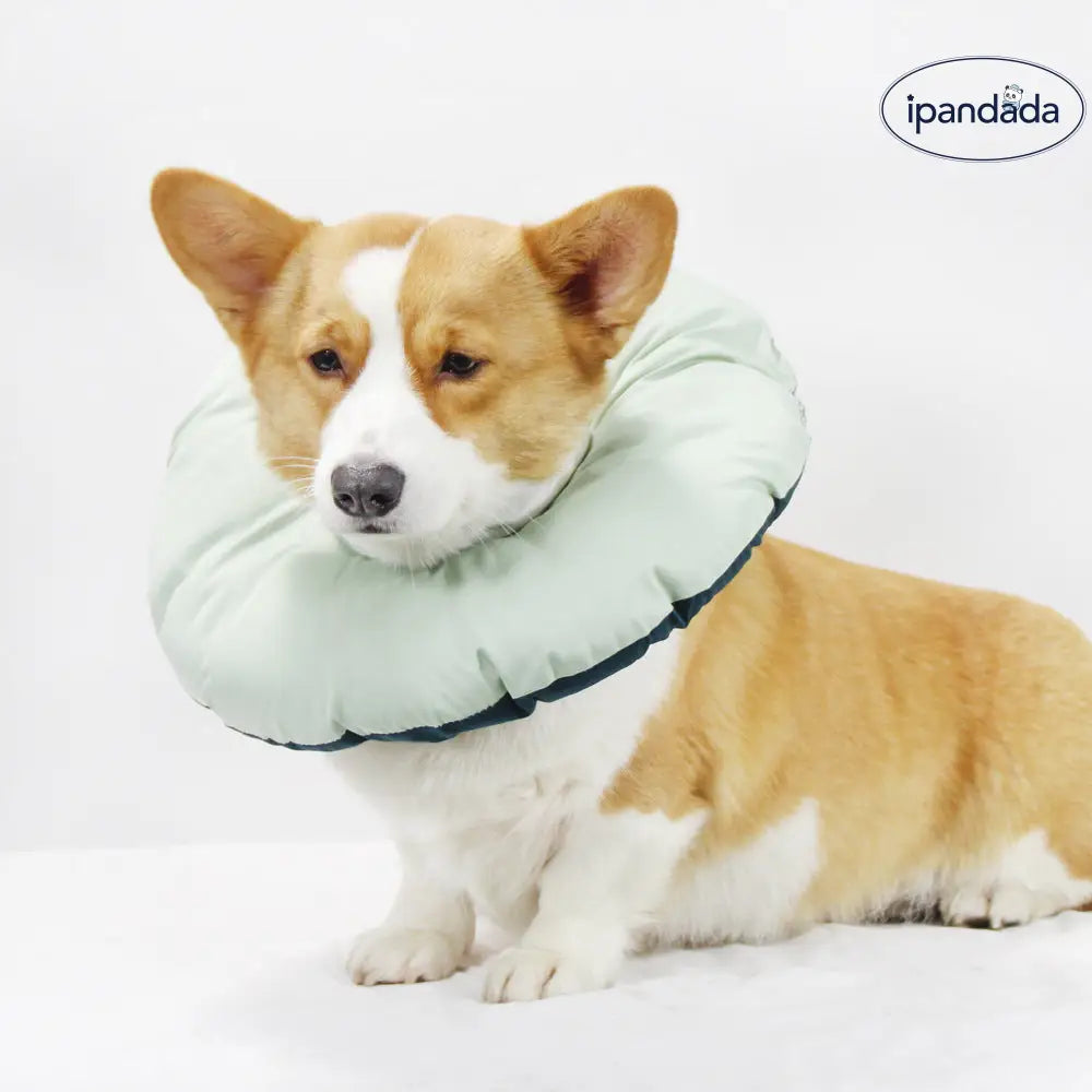 ペット 去勢後 犬用 ヘッドキャップ 恥ずかしさ防止 咬み防止 舐め防止 ペット用 猫用 エリザベス ソフトカラー ID2333