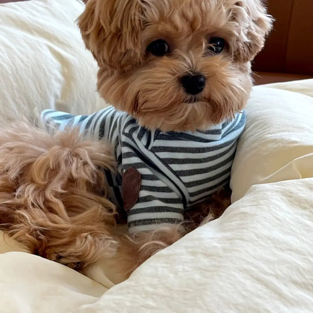 ペット 犬服 春夏 薄手 タイディ ビション ポメラニアン ヨークシャーテリア 小型犬 猫服 ストライプ インナーシャツ ID2434 ブルー / XS