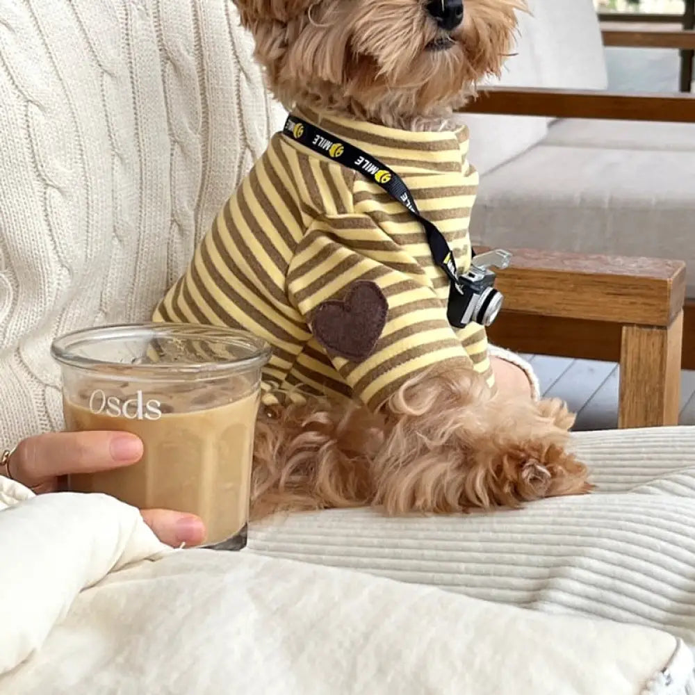 ペット 犬服 春夏 薄手 タイディ ビション ポメラニアン ヨークシャーテリア 小型犬 猫服 ストライプ インナーシャツ ID2434 イエロー / XS