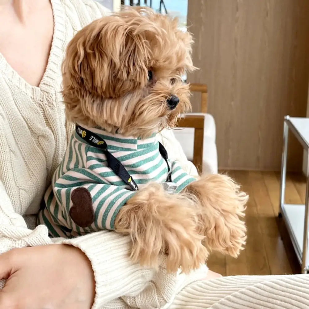 ペット 犬服 春夏 薄手 タイディ ビション ポメラニアン ヨークシャーテリア 小型犬 猫服 ストライプ インナーシャツ ID2434