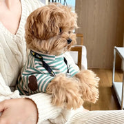 ペット 犬服 春夏 薄手 タイディ ビション ポメラニアン ヨークシャーテリア 小型犬 猫服 ストライプ インナーシャツ ID2434
