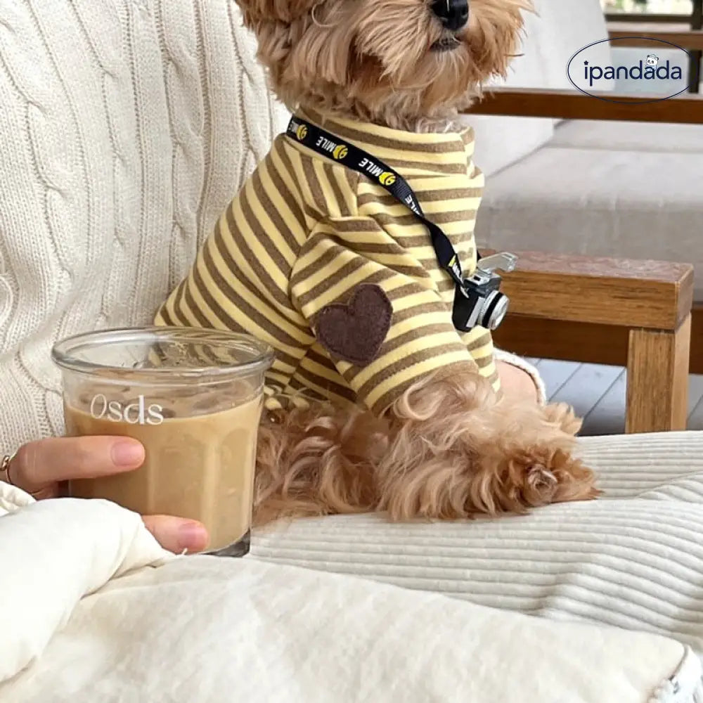ペット 犬服 春夏 薄手 タイディ ビション ポメラニアン ヨークシャーテリア 小型犬 猫服 ストライプ インナーシャツ ID2434