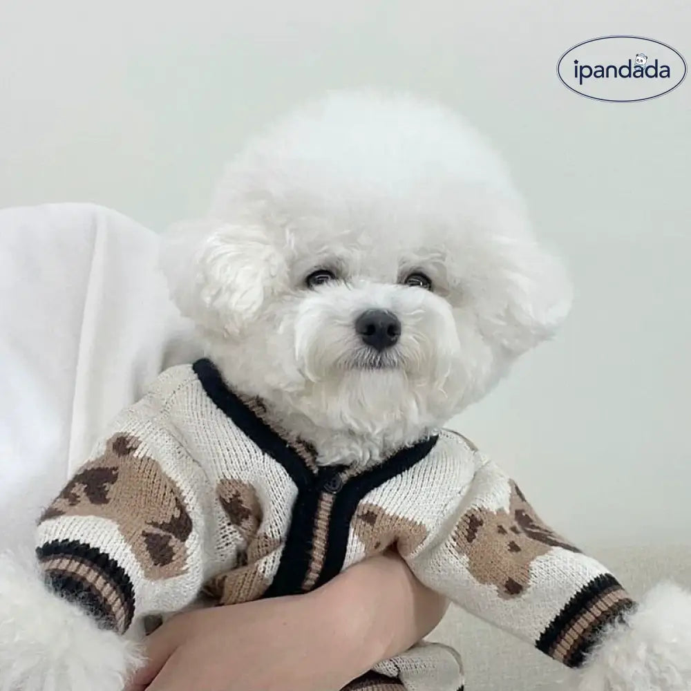 ペット セーター 秋 シーズン 小型犬 猫用 ポメラニアン ヨークシャー テリア ビション テディ 犬服 秋冬 シーズン ID2610