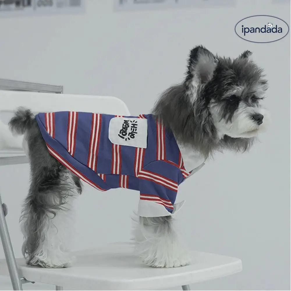 ペット 四季 ストライプ カラー付き ポロシャツ シュナウザー コーギー ファッション 翻袖 クール 犬服 ID1877 ペット用品>ウェア