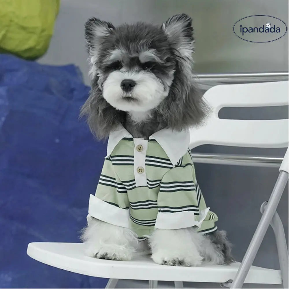 ペット 四季 ストライプ カラー付き ポロシャツ シュナウザー コーギー ファッション 翻袖 クール 犬服 ID1877 ペット用品>ウェア