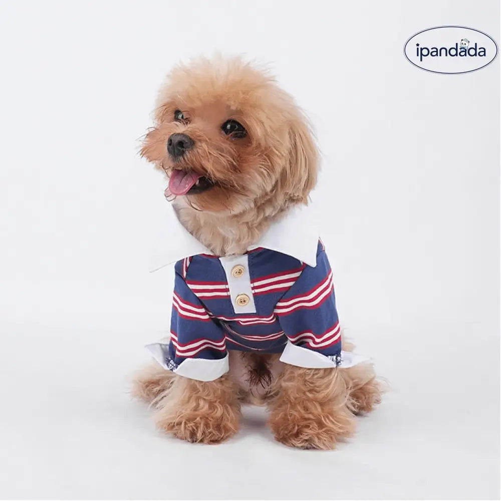 ペット 四季 ストライプ カラー付き ポロシャツ シュナウザー コーギー ファッション 翻袖 クール 犬服 ID1877 ペット用品>ウェア