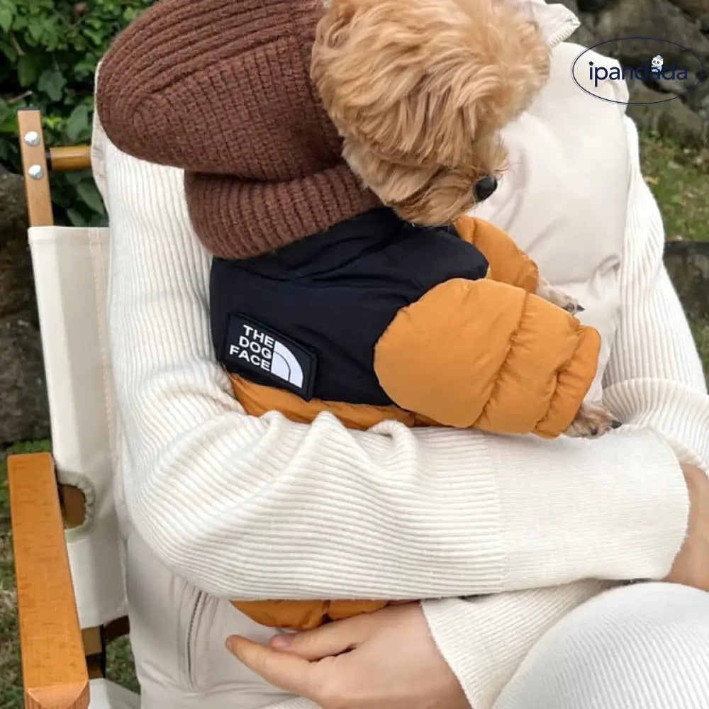 ペット 四足 コットンウェア 小型犬 テディ ベーメ ヨークシャー ビション プードル 犬服 秋冬用 冬用 ID3072