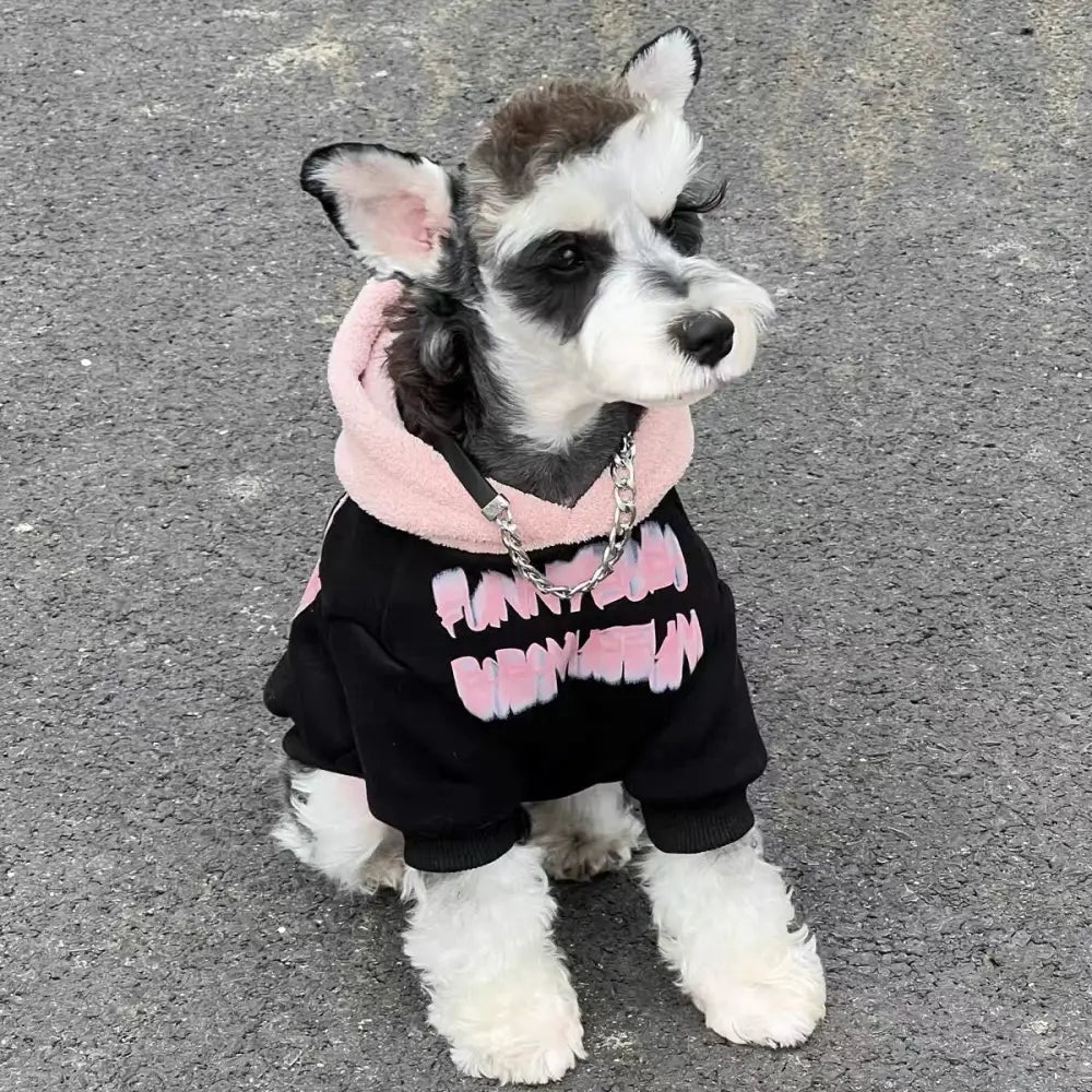 ペット スウェットシャツ 秋冬用 小型犬 中型犬 犬服 テディ ビション フェレット シュナウザー 猫服 ID3021 写真通り / S