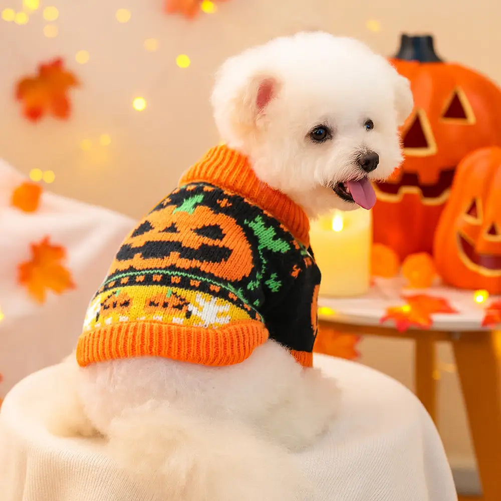ペット 秋冬衣服 猫用 犬用 コスチューム 猫用 クリスマス ハロウィン セーター ID2851