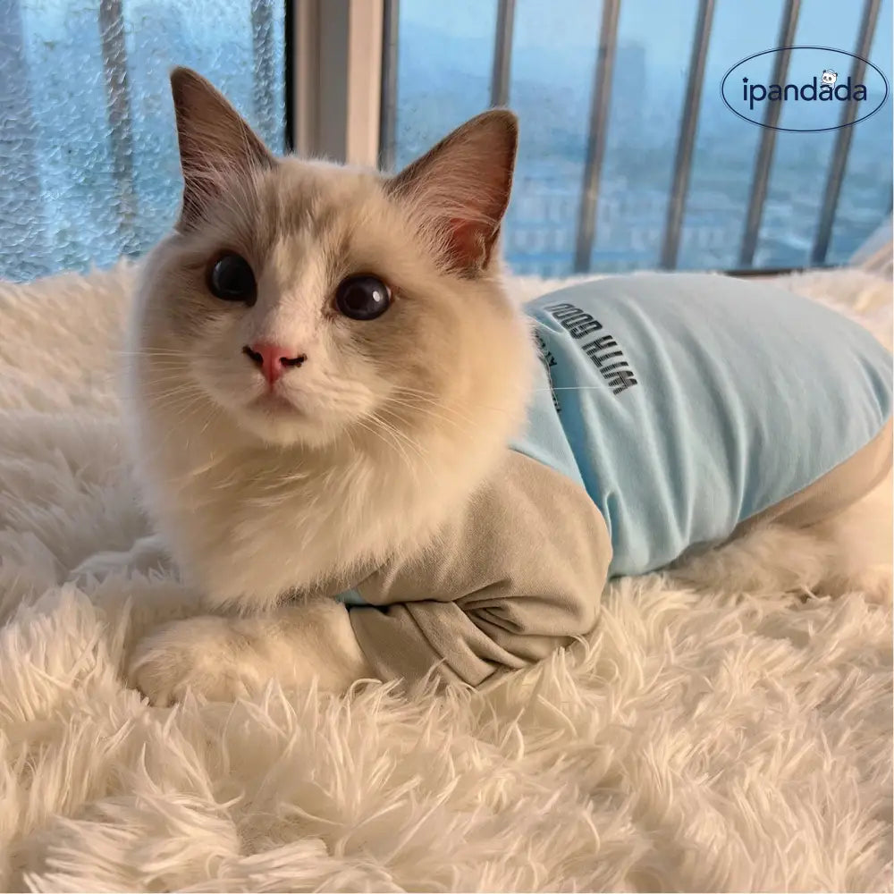 パッチワーク カラーブロック ペット服 犬猫兼用 春秋 薄手 スウェット 小型犬 中型犬 大型犬 肌に優しい おしゃれ 室内着 ID4169