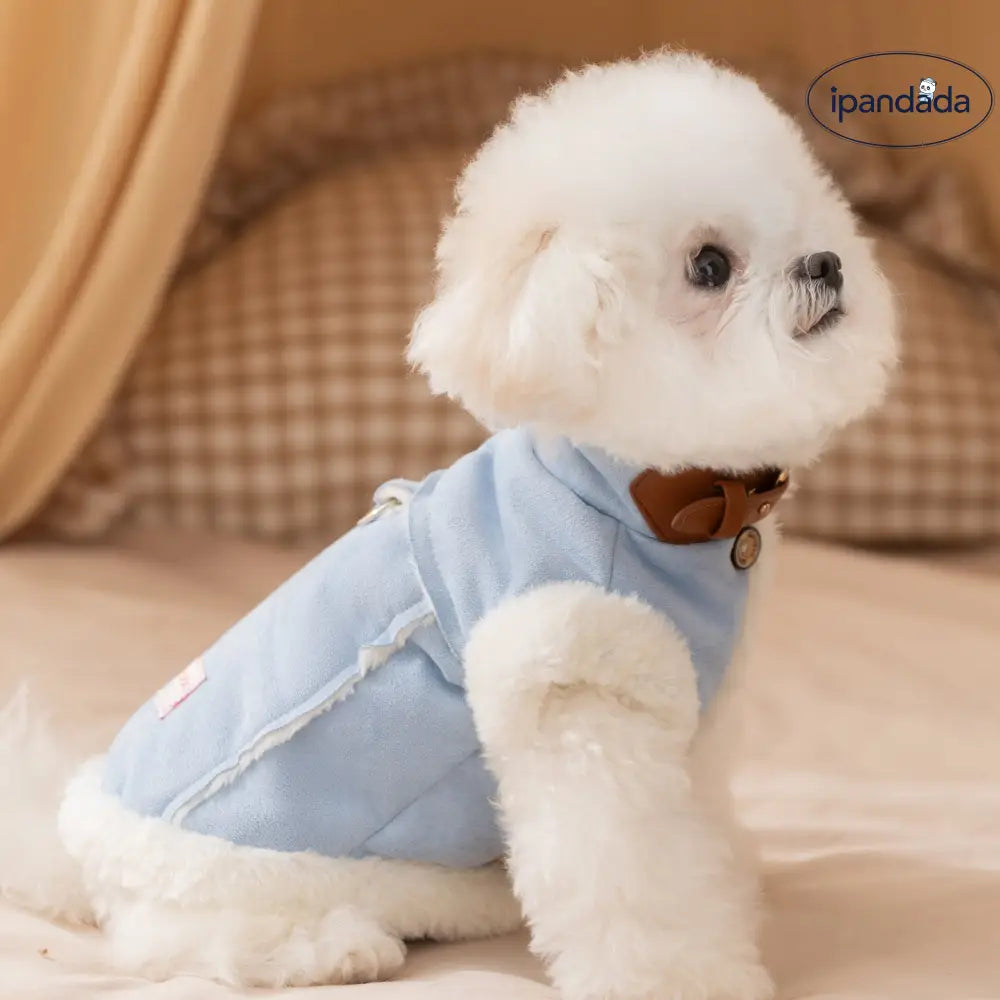 ペット用 冬用 厚手 裏起毛 スエード素材 牽引可能 中小型犬 猫用 2足型 コート ビションフリーゼ ID3378