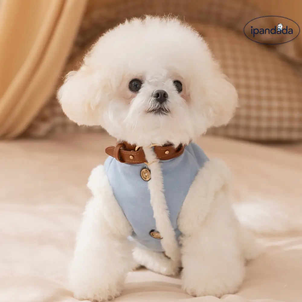 ペット用 冬用 厚手 裏起毛 スエード素材 牽引可能 中小型犬 猫用 2足型 コート ビションフリーゼ ID3378