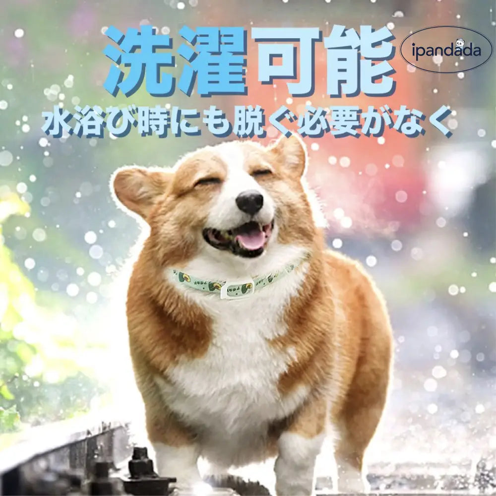 ID826 ペット用防虫首輪 犬猫 首輪 虫よけ 着脱簡単 調整可能 ペット用 蚊よけ ノミ取り首輪 虫除け 天然アロマオイル 犬用 猫用 蚊除け対策 春 夏 小型犬 中型犬 大型犬 ペット用品 安全的 無毒 可愛い