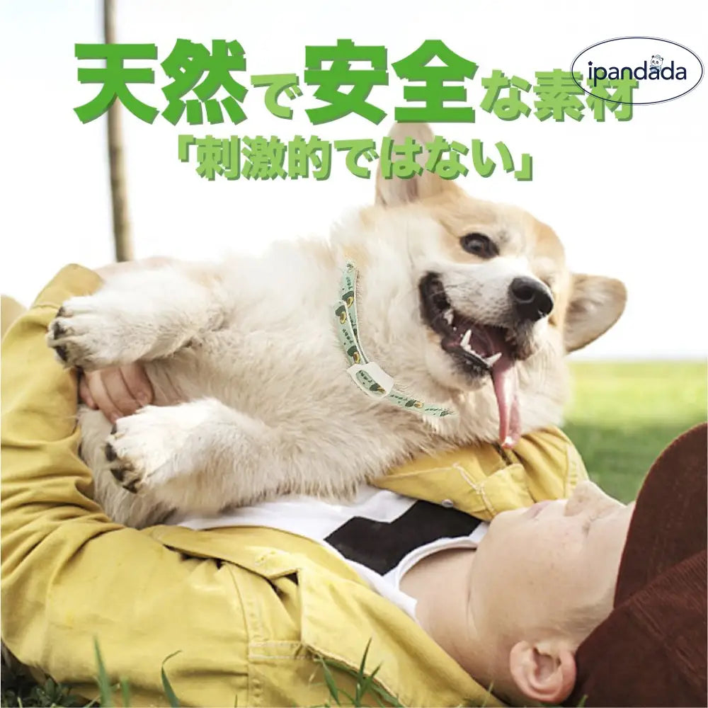 ID826 ペット用防虫首輪 犬猫 首輪 虫よけ 着脱簡単 調整可能 ペット用 蚊よけ ノミ取り首輪 虫除け 天然アロマオイル 犬用 猫用 蚊除け対策 春 夏 小型犬 中型犬 大型犬 ペット用品 安全的 無毒 可愛い