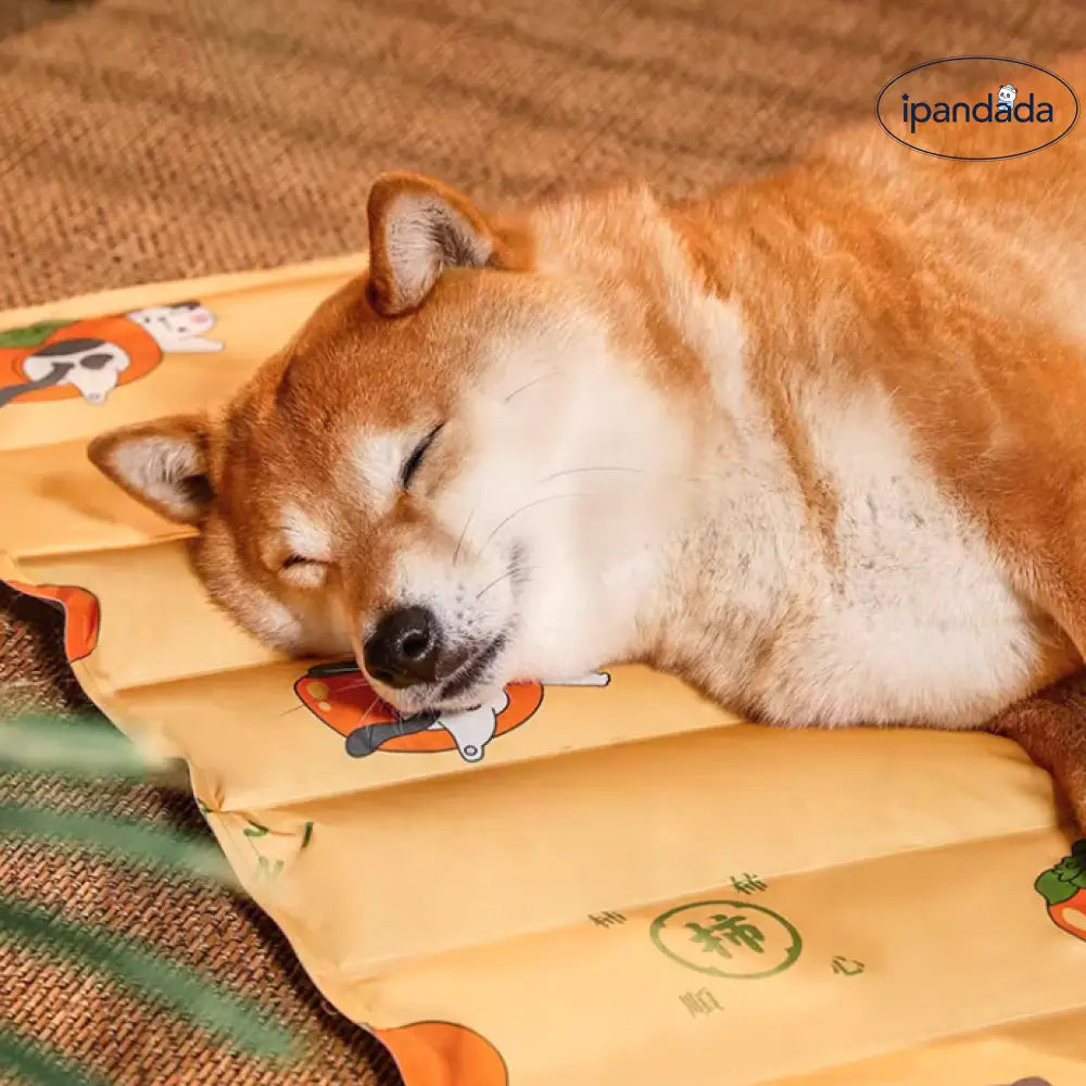 ID750 ペット用冷却マット 夏用 暑さ対策 ジェルクッション ひんやり涼感 猫犬共用 冷却ジェルパッド ペットベッド 保冷効果 洗える設計 S～XLサイズ ペット用品＞ベッド・ハウス