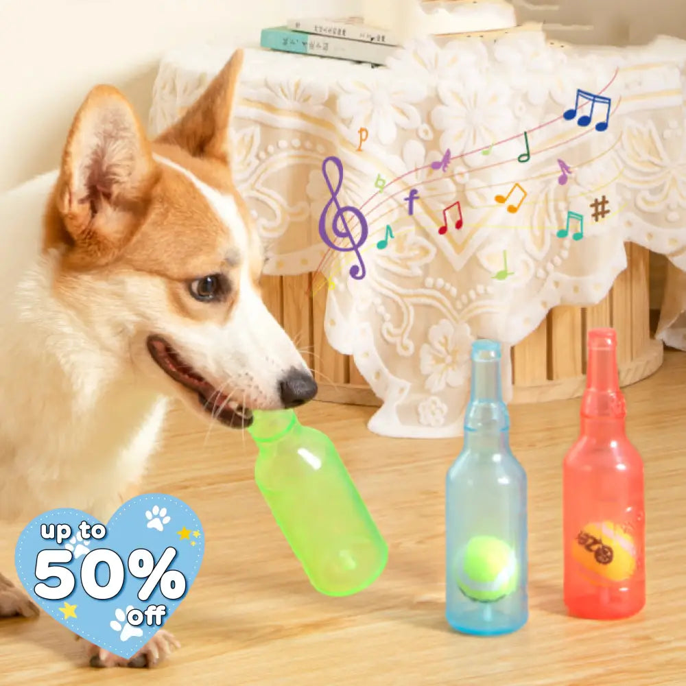 ペット用 おもちゃ 音の出る 犬用 ストレス解消 テニスボール ビール ボトル 噛みつき デンタルヘルスケア 歯磨き 運動不足 ペット用品＞おもちゃ