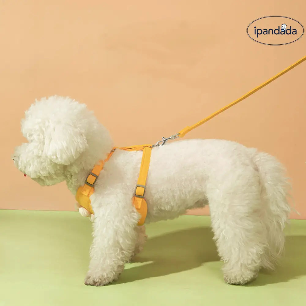 ID1178 ペット用おしゃれハーネス 花柄レースデザイン 小型犬・猫用 通気性抜群 散歩用ベスト お散歩 お出かけ アウトドア ペット用品＞ハーネス・リード