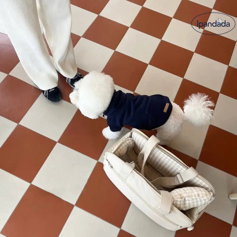 ペット用 犬服 シンプル フード付き スウェットシャツ 秋冬 保温 猫 小型犬 テディベア ビションフリーゼ ヨークシャーテリア 犬 クリスマスプレゼント ID3240 ペット用品＞ウェア